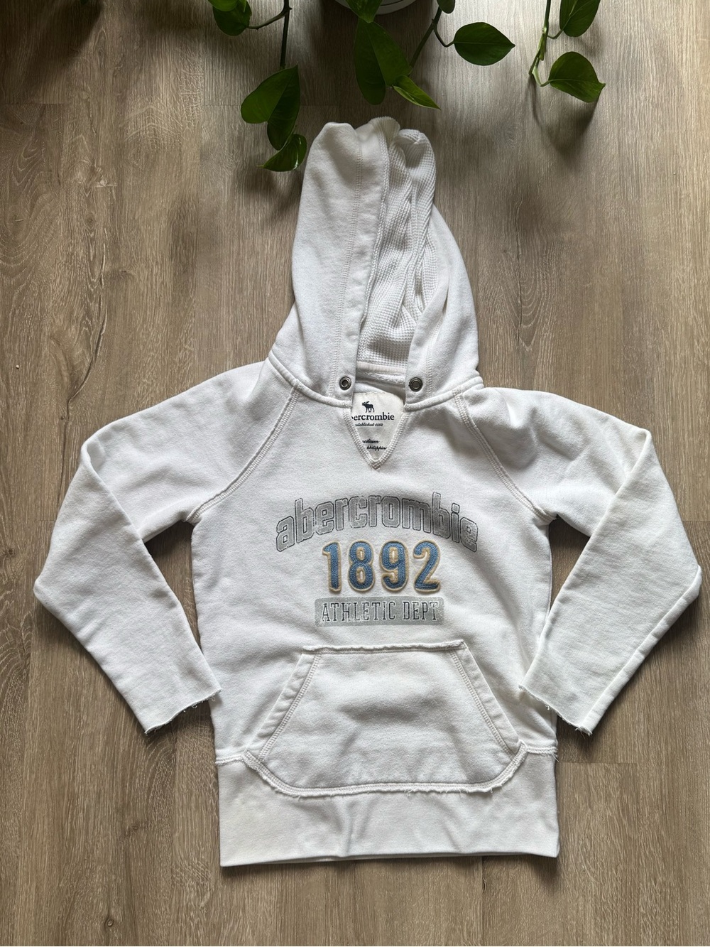 VTG y2k Abercrombie & Fitch Pullover Hoodie
